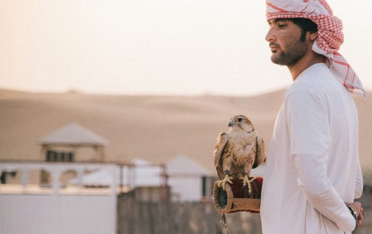 Dubai bird of prey